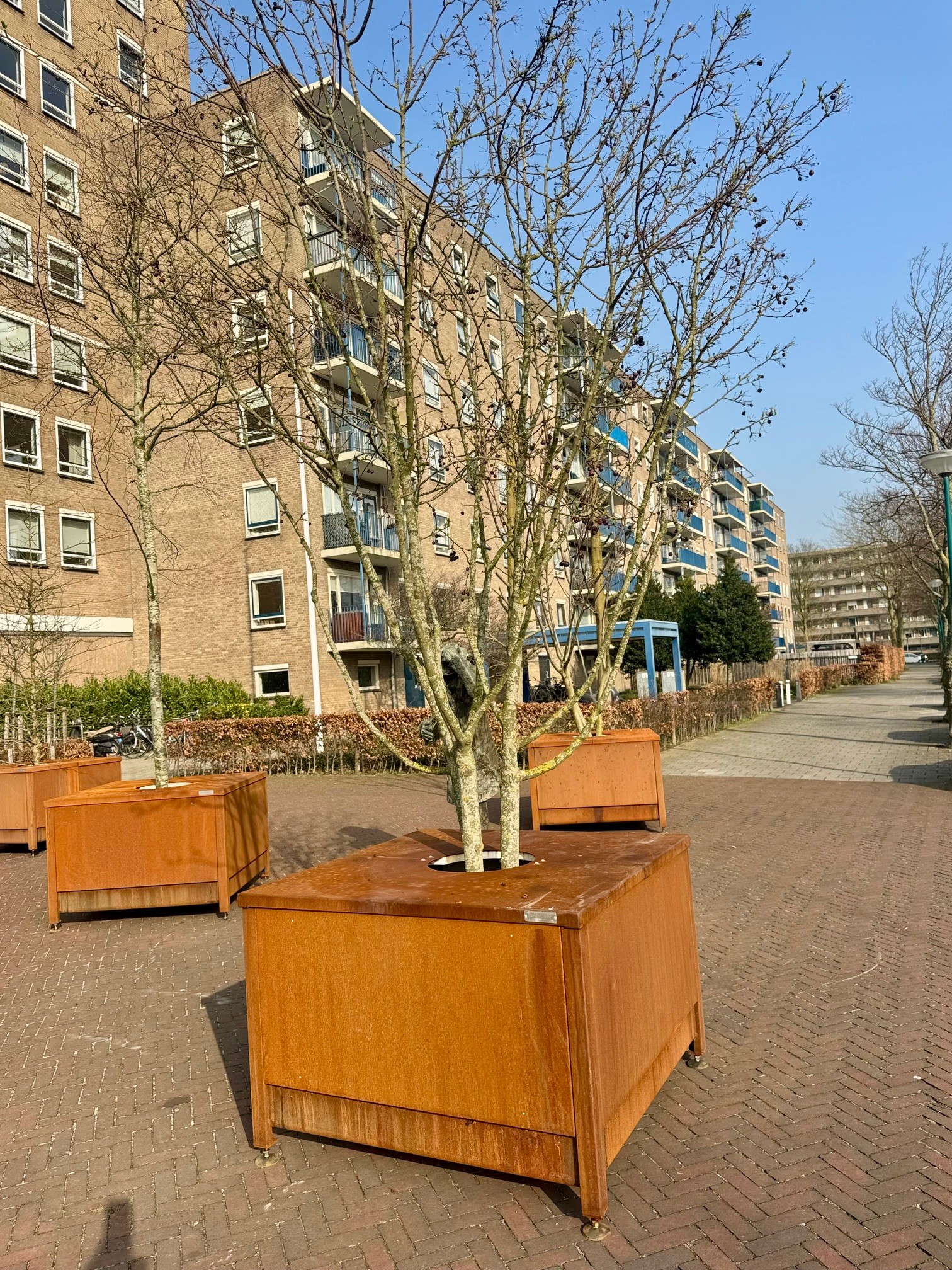 Bos Lange Voort