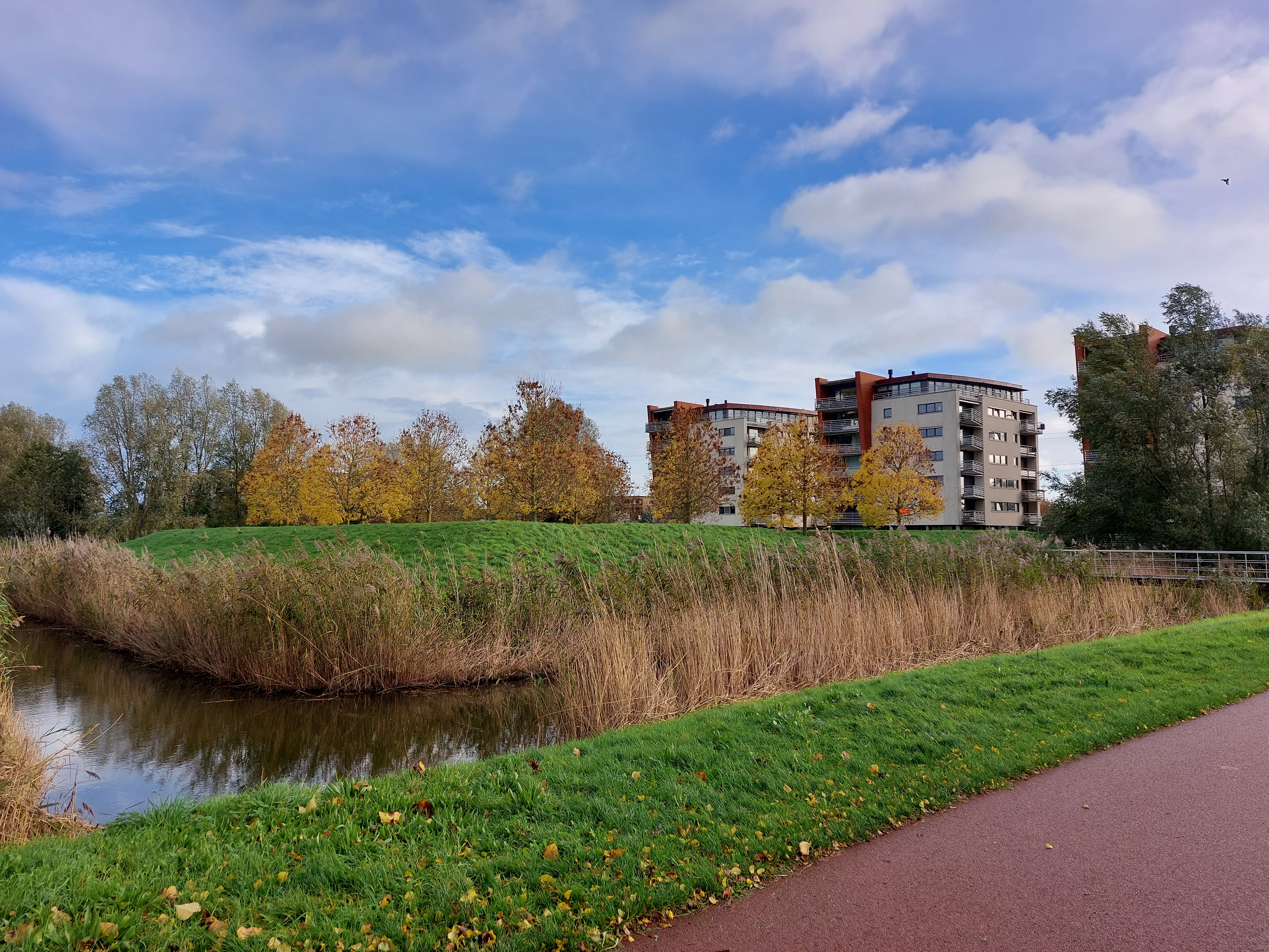Sloot en flats vroege vogels park