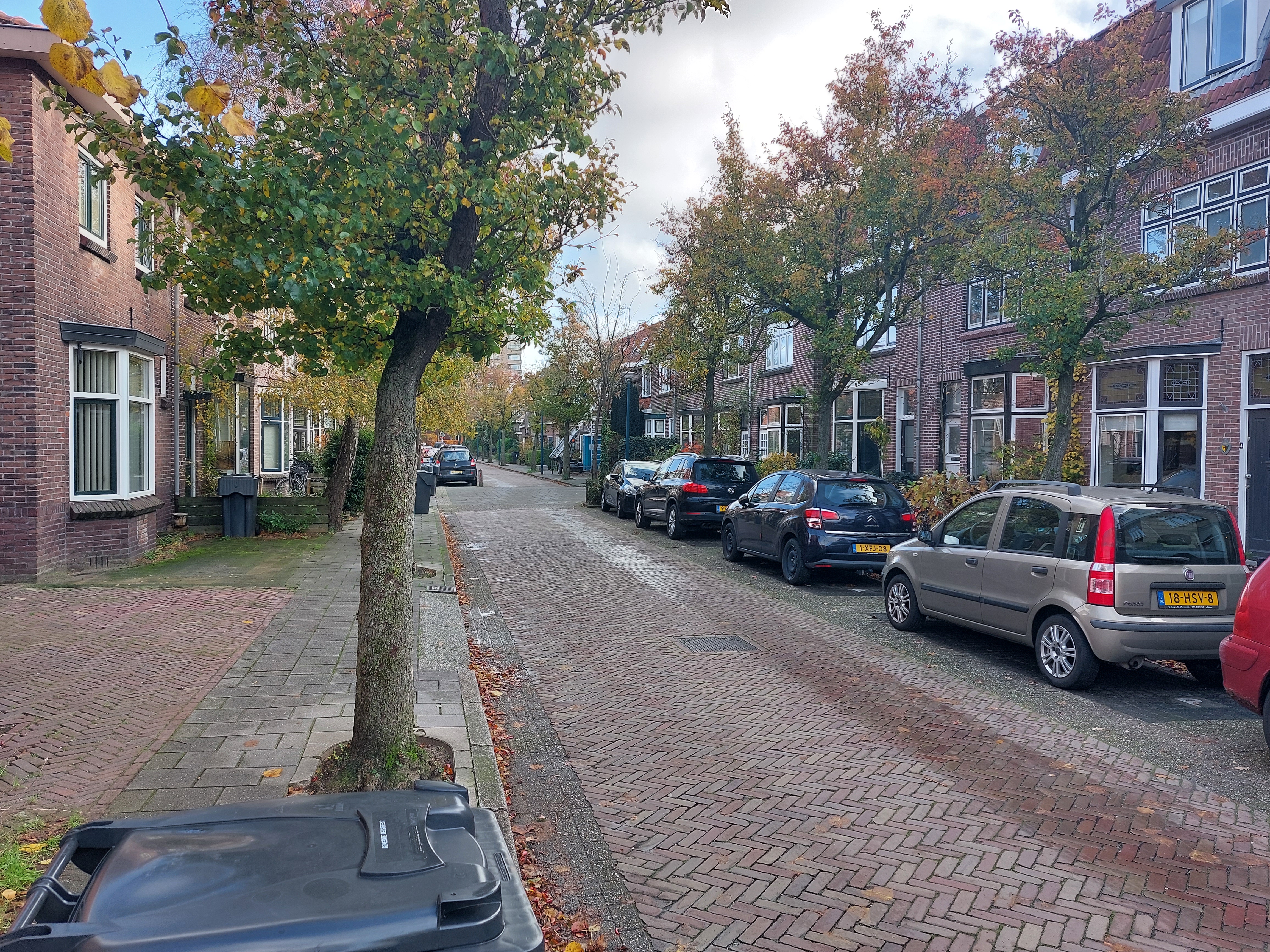 Duinzichtstraat