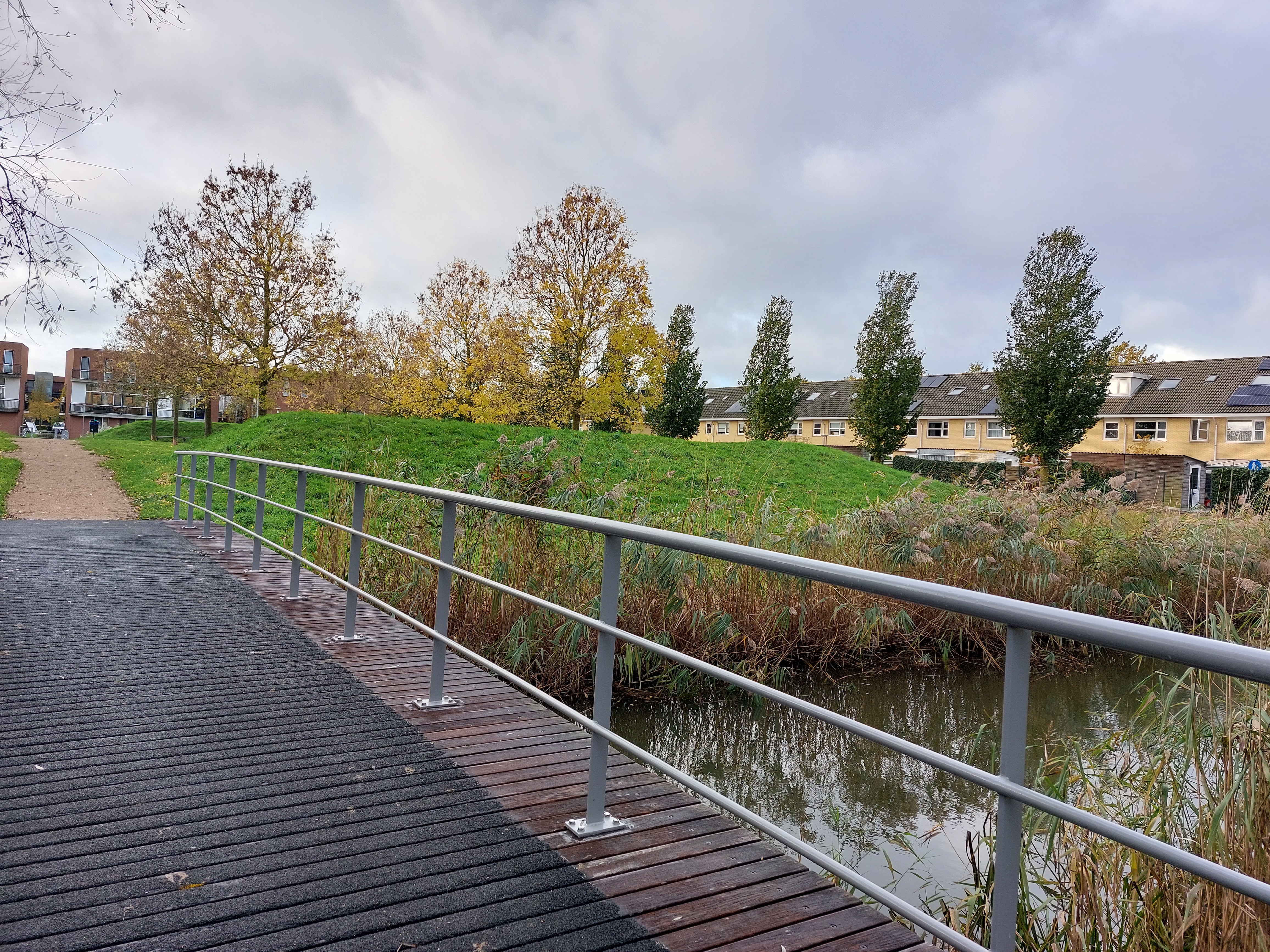 Brug in het Vroege vogels park