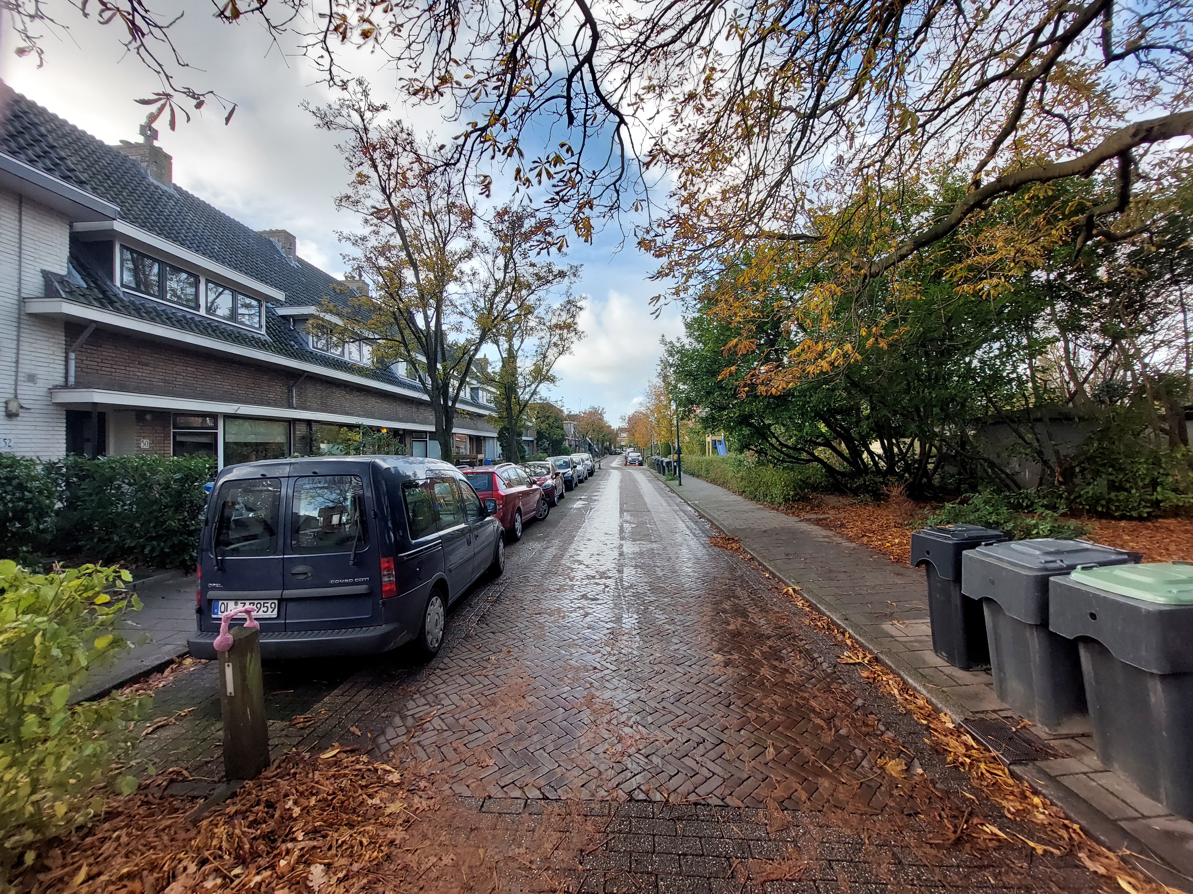 Duinzichtstraat
